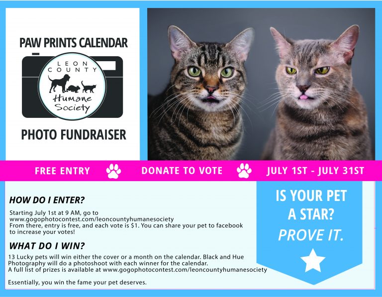 Paw Prints Calendar Contest Coming Soon! | Leon County Humane Society